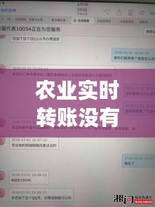 农业转账未到账困扰揭秘，实时交易风险与解决策略