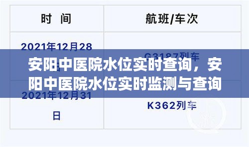 安阳中医院水位实时监测与查询系统，透明医疗的数据实时力量