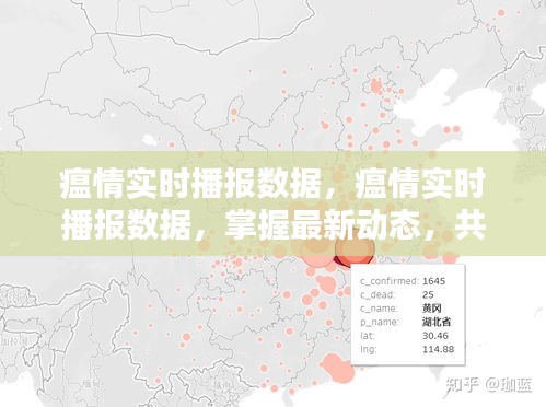 掌握最新疫情动态，实时播报数据共抗疫情