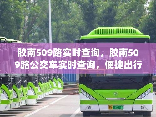 胶南509路公交车实时查询，便捷出行的新选择