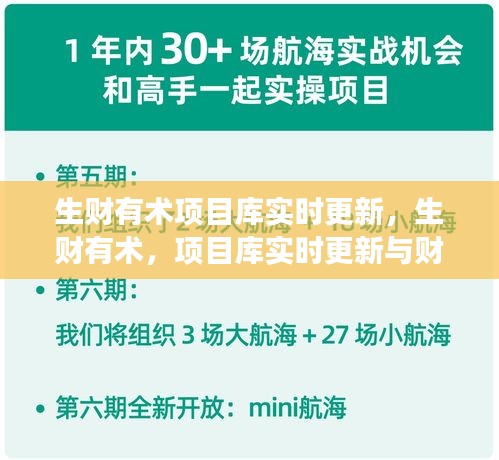 生财有术，项目库实时更新与财富增长策略秘籍