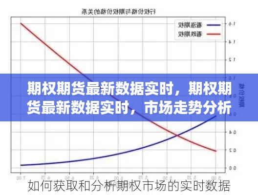 期权期货最新实时数据，市场走势分析与交易策略调整指南