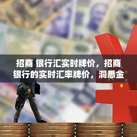 招商银行实时汇率牌价，洞悉金融市场动态变化