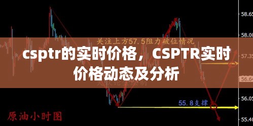 CSPTR实时价格动态解析与最新市场分析