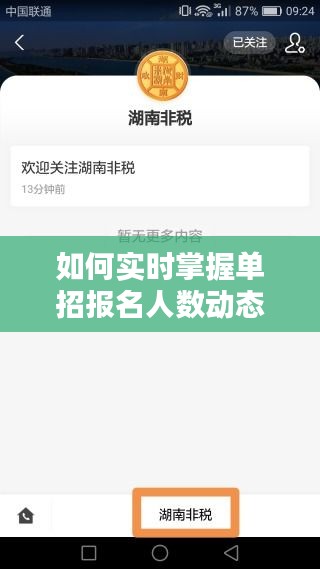 实时掌握单招报名人数动态，策略与技巧解析指南