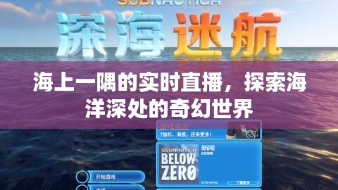 海洋深处的奇幻世界，海上一隅实时直播探索之旅