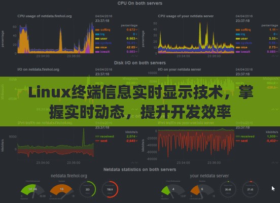 Linux终端信息实时显示技术，助力实时动态监控，提升开发效率