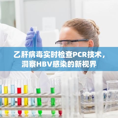 乙肝病毒实时检查PCR技术，洞察HBV感染的新视界