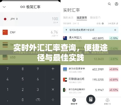 实时外汇汇率查询，便捷途径与最佳实践指南