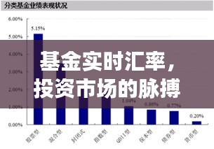 基金实时汇率，把握投资市场的脉搏与决策关键所在