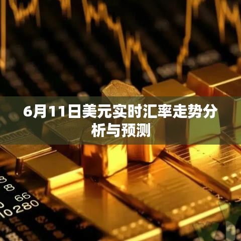 6月11日美元实时汇率走势深度解析与预测