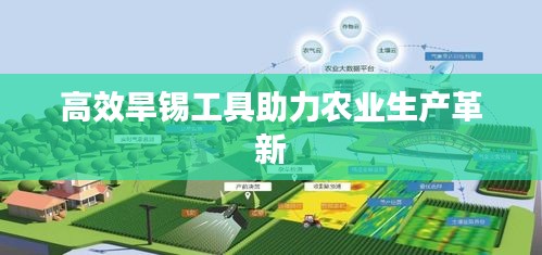 高效旱锡工具助力农业生产革新