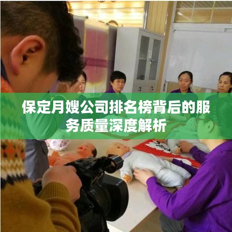 保定月嫂公司排名榜背后的服务质量深度解析