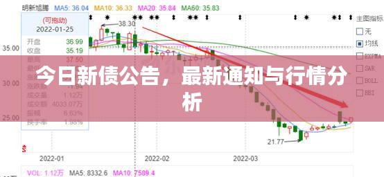 今日新债公告，最新通知与行情分析