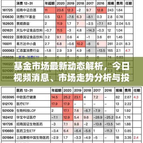 基金市场最新动态解析，今日视频消息、市场走势分析与投资建议一网打尽