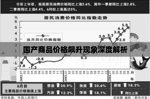 国产商品价格飙升现象深度解析