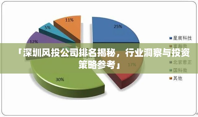 「深圳风投公司排名揭秘，行业洞察与投资策略参考」