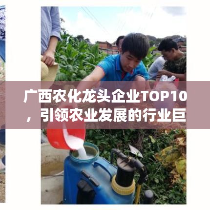 广西农化龙头企业TOP10，引领农业发展的行业巨擘