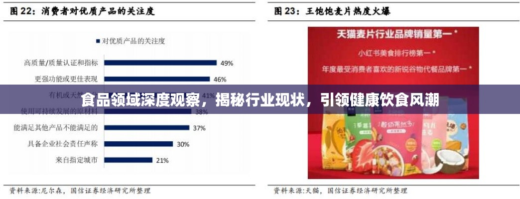 食品领域深度观察，揭秘行业现状，引领健康饮食风潮