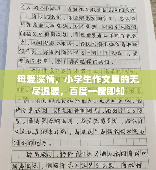 母爱深情，小学生作文里的无尽温暖，百度一搜即知