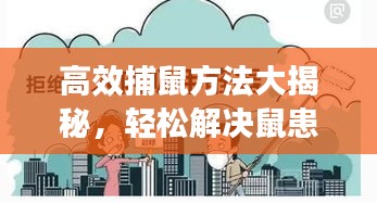 高效捕鼠方法大揭秘，轻松解决鼠患困扰！