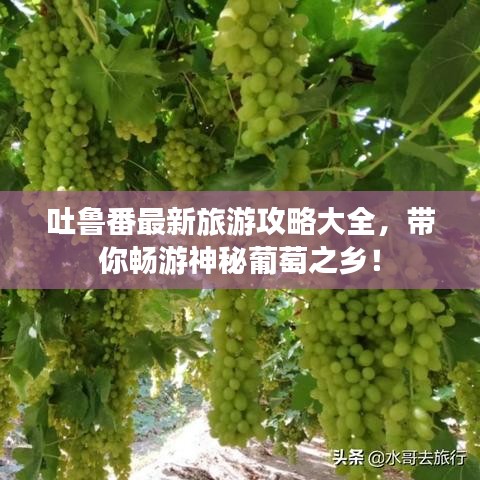 吐鲁番最新旅游攻略大全，带你畅游神秘葡萄之乡！