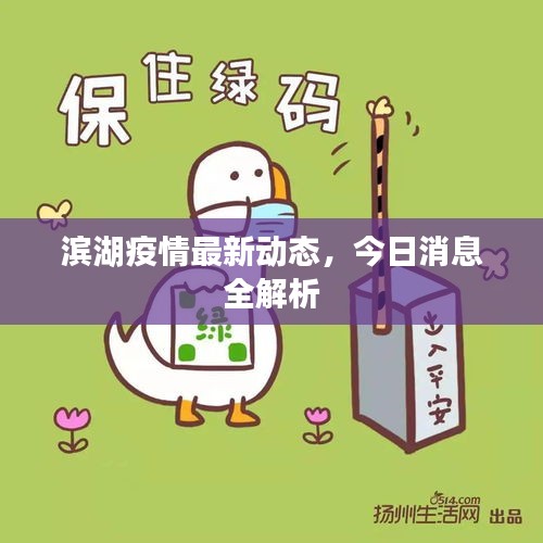 滨湖疫情最新动态，今日消息全解析