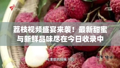 荔枝视频盛宴来袭！最新甜蜜与新鲜品味尽在今日收录中