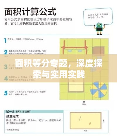 面积等分专题，深度探索与实用实践