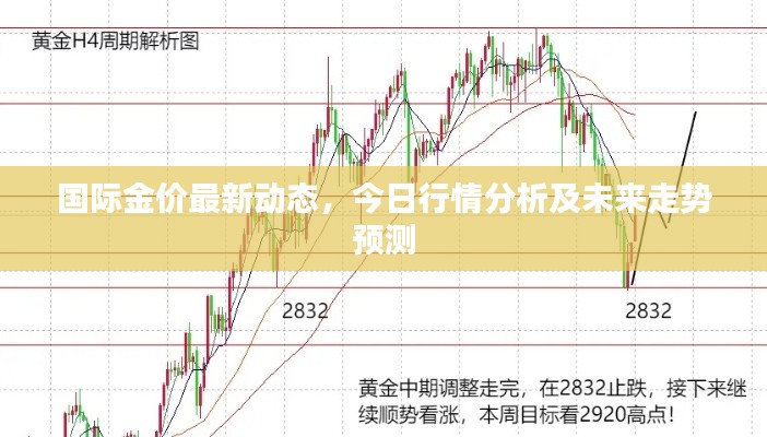 国际金价最新动态，今日行情分析及未来走势预测