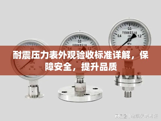 耐震压力表外观验收标准详解，保障安全，提升品质