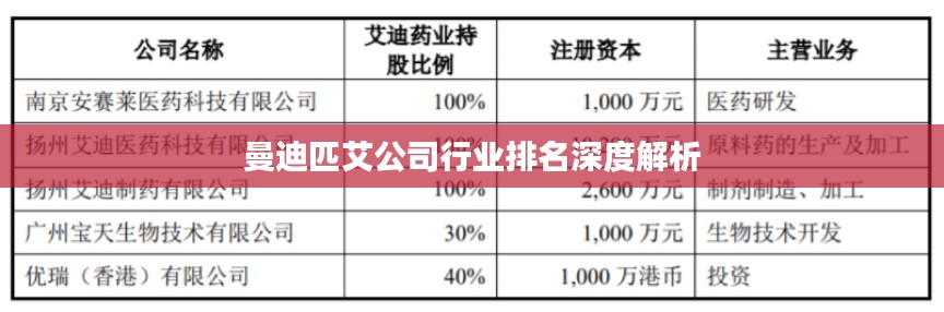 曼迪匹艾公司行业排名深度解析