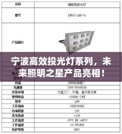 宁波高效投光灯系列，未来照明之星产品亮相！