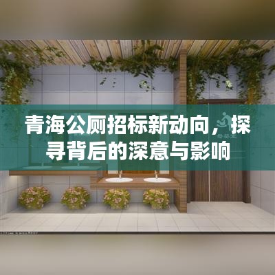 青海公厕招标新动向，探寻背后的深意与影响