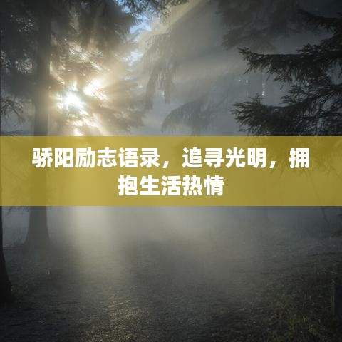 骄阳励志语录，追寻光明，拥抱生活热情