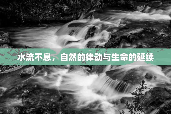 水流不息，自然的律动与生命的延续