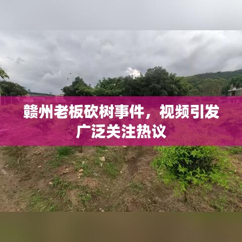 赣州老板砍树事件，视频引发广泛关注热议