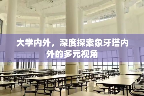 大学内外，深度探索象牙塔内外的多元视角