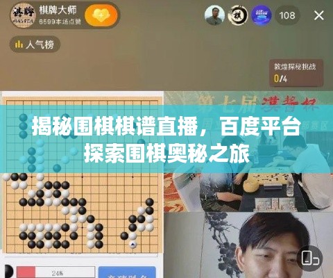 揭秘围棋棋谱直播，百度平台探索围棋奥秘之旅