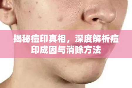 2025年4月 第48页