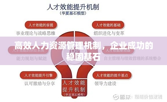 高效人力资源管理机制，企业成功的稳固基石