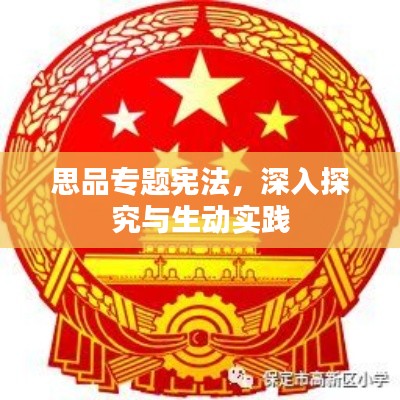 思品专题宪法，深入探究与生动实践