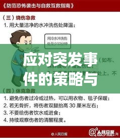 应对突发事件的策略与实用方法指南