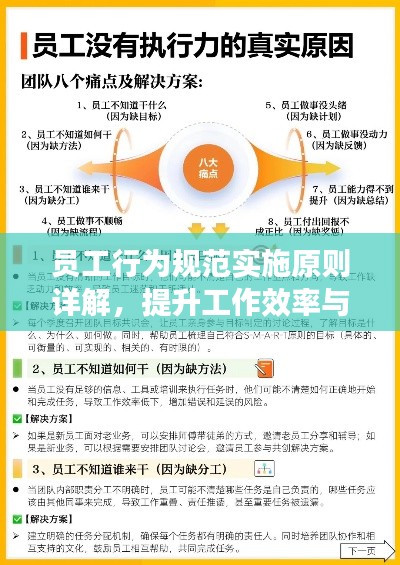 员工行为规范实施原则详解，提升工作效率与团队凝聚力