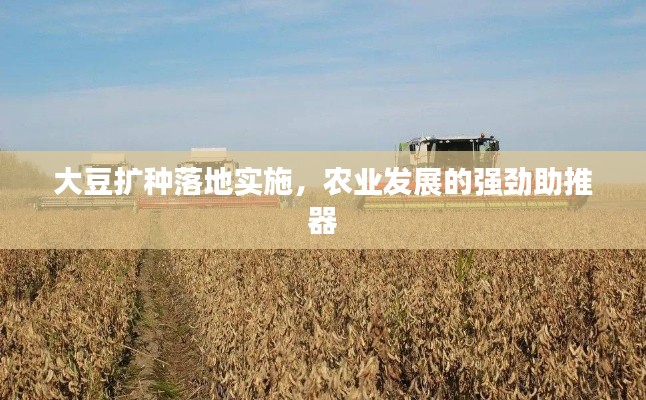 大豆扩种落地实施，农业发展的强劲助推器
