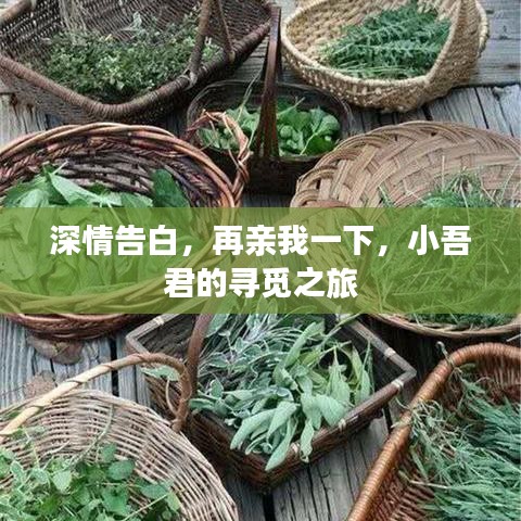 深情告白，再亲我一下，小吾君的寻觅之旅