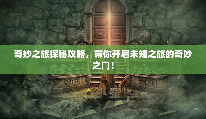 奇妙之旅探秘攻略，带你开启未知之旅的奇妙之门！