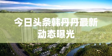 今日头条韩丹丹最新动态曝光