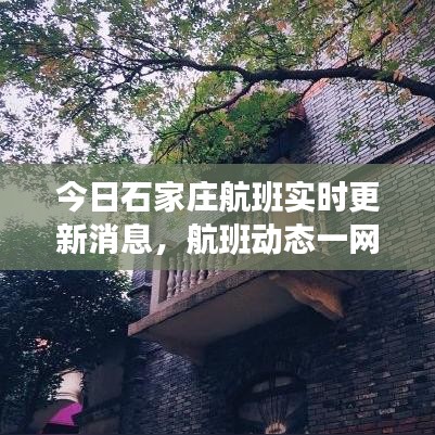 今日石家庄航班实时更新消息，航班动态一网打尽