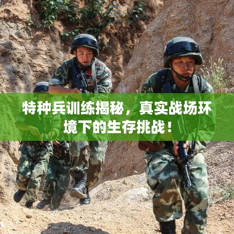 特种兵训练揭秘，真实战场环境下的生存挑战！